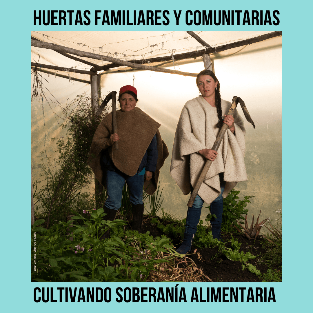 Huertas familiares y comunitarias: cultivando soberanía alimentaria