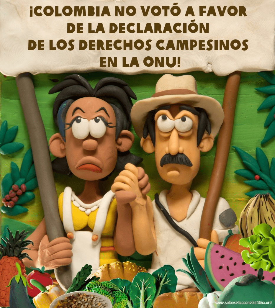 Foro: Declaración de la ONU sobre los Derechos del Campesinado